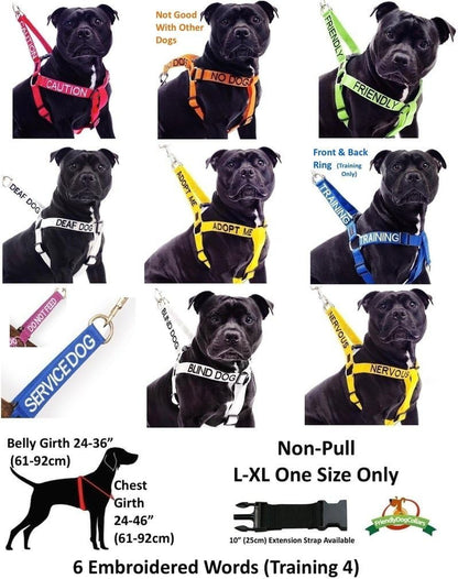 ADOPT ME Yellow Color Coded L-XL Non-Pull Dog Harness (New Home Needed) Donate to Your Local Charity7