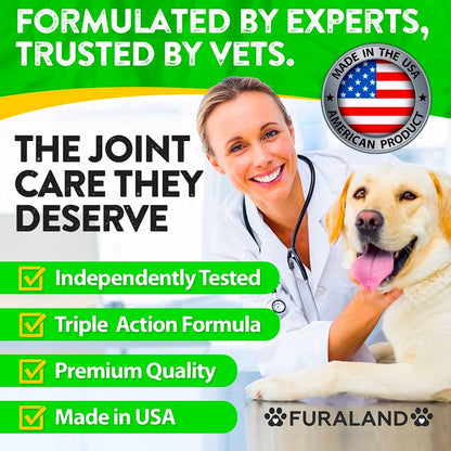Hemp Hip and Joint Supplement for Dogs - Glucosamine for Dogs - 170 Dog Joint Pain Relief Treats - Chondroitin, Hemp Oil, MSM - Mobility & Flexibility Support - Advanced Care Health - Made in USA6