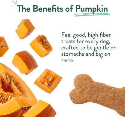 Portland Pet Food Pumpkin Dog Treats - Healthy, Grain-Free Biscuits, 5 Oz | Human-Grade, Limited Ingredient, Natural Low Calorie Training Treats for Small & Large Dogs, Puppy to Senior, Made in USA10