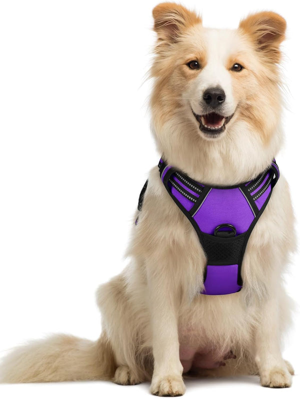 Rabbitgoo Dog Harness, No Pull for Large Dogs with 2 Leash Clips, Pet Vest | No Choke with Handle, Adjustable Soft Padded, Reflective, Easy Control for Walking, Black, Large104