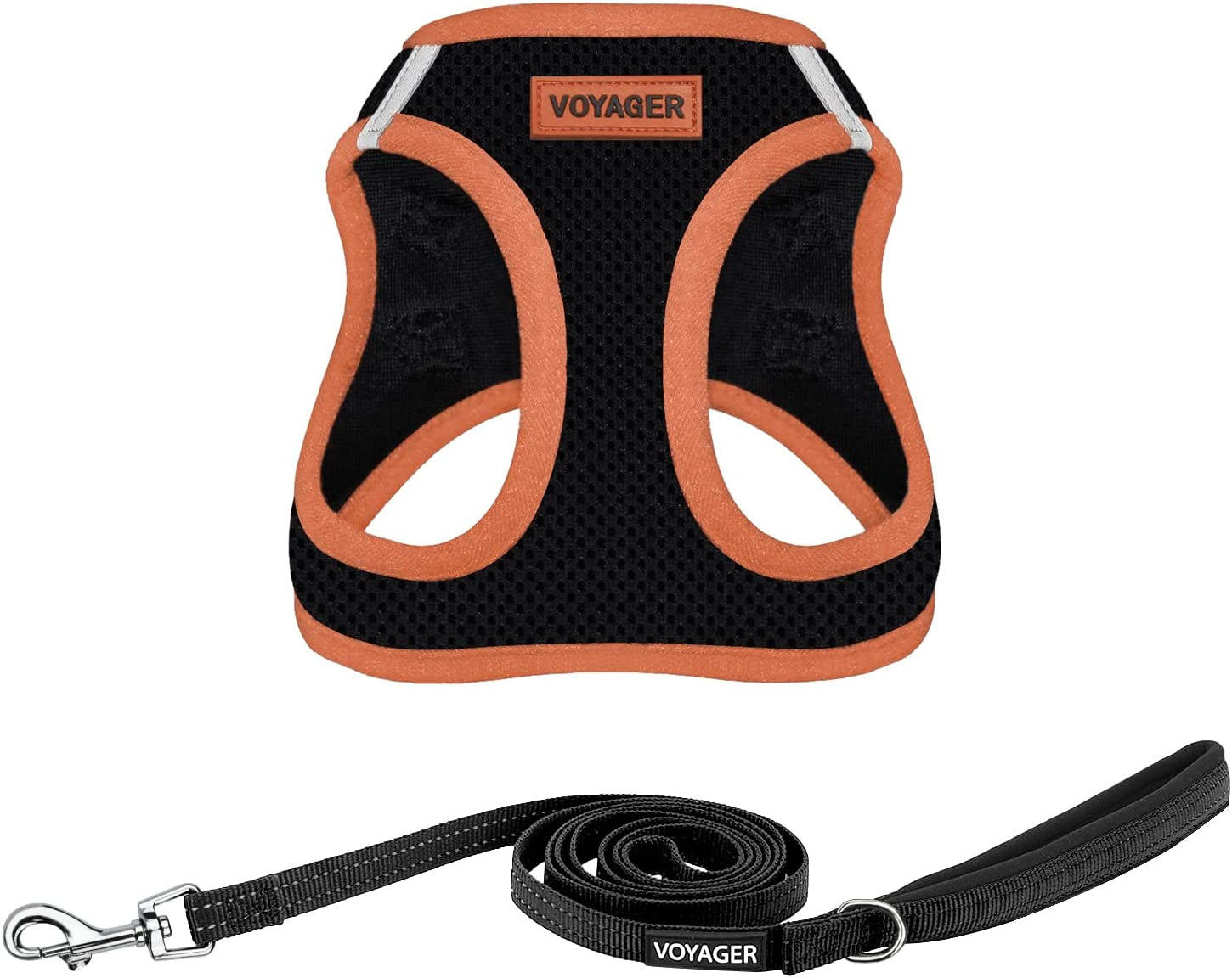best-pet-supplies-voyager-step-in-air-all-weather-mesh-harness-and-reflective-dog-5ft-leash-combo-with-neoprene-handle-for-small-medium-and-large-breed-puppies-baby-blue-small