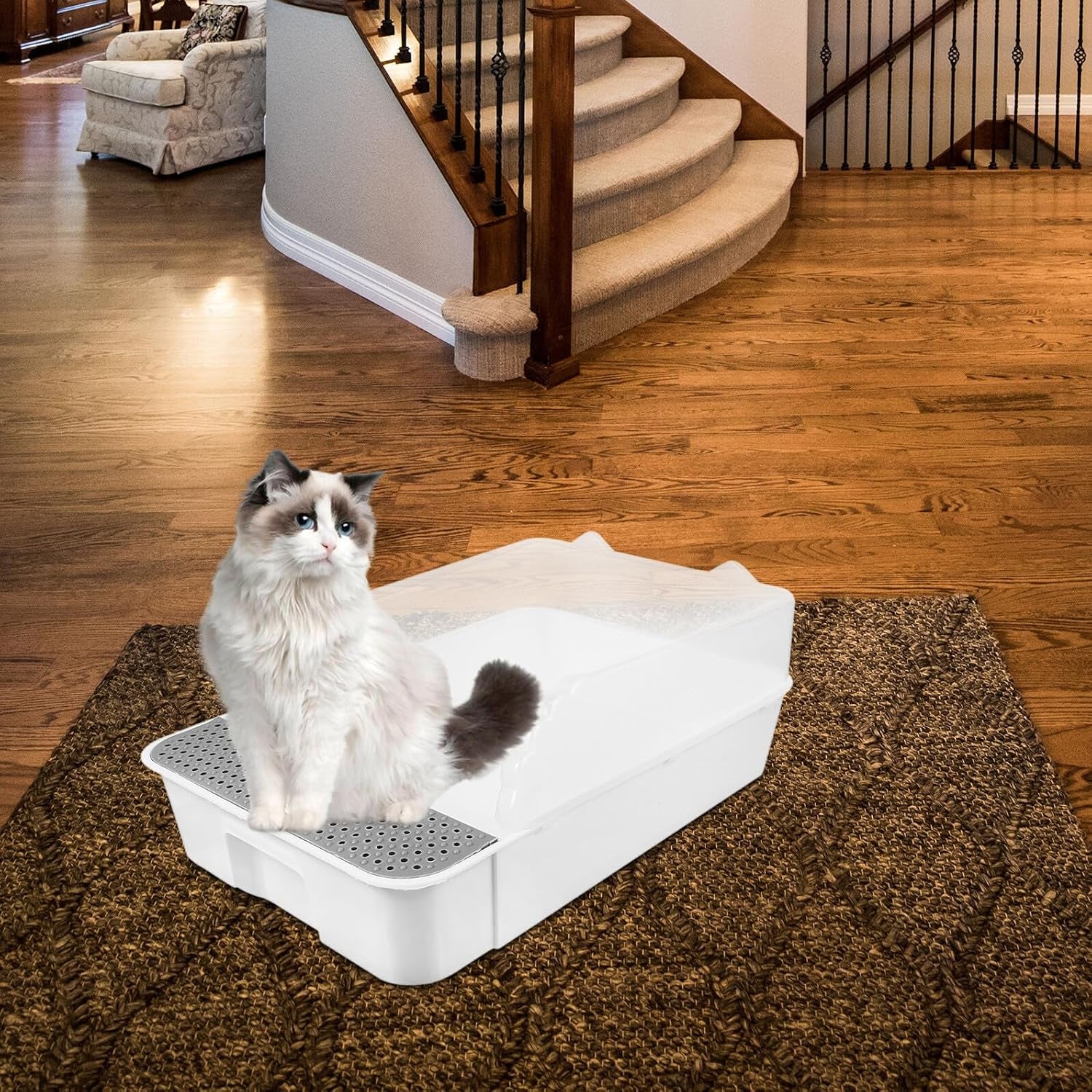 detachable-semi-enclosed-cat-litter-box-splash-resistant-small-white-cat-toilet-pan-for-indoor-kitten-training-and-litter-housebreaking
