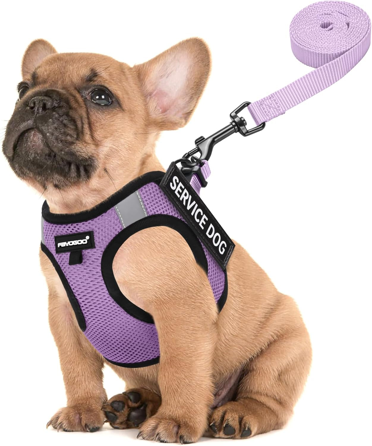 fayogoo-service-dog-vest-for-small-dogs-lightweight-dog-harness-with-6pcs-removable-patches-puppy-harness-and-leash-set-for-walking-training