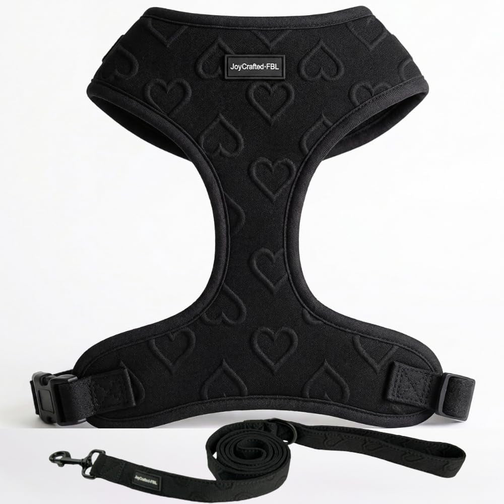 no-pull-harness-leash-set-for-small-sized-dogs-soft-padded-breathable-neoprene-harnesses-lightweight-adjustable-step-in-vest-with-cute-heart-print-secure-back-d-ring-neck-13-17-chest-16-21
