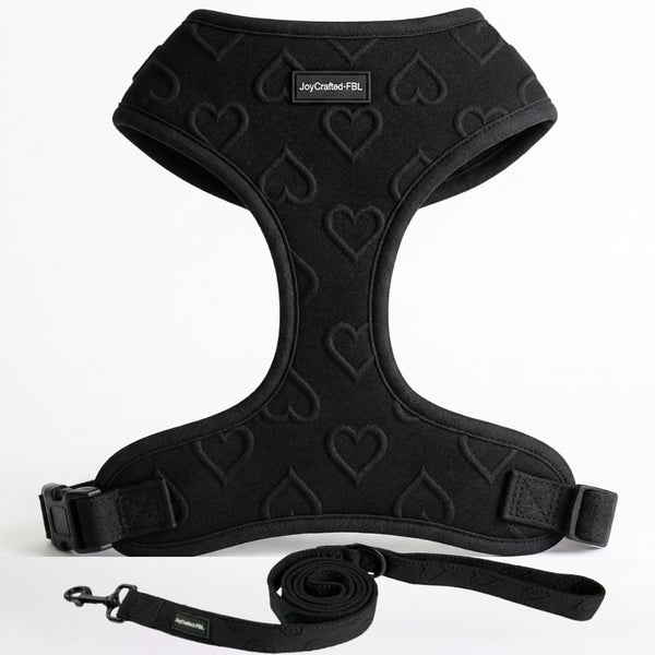 No Pull Harness & Leash Set for Small Sized Dogs, Soft Padded Breathable Neoprene Harnesses, Lightweight Adjustable Step-In Vest with Cute Heart Print & Secure Back D-Ring, Neck 13-17", Chest 16-21"9