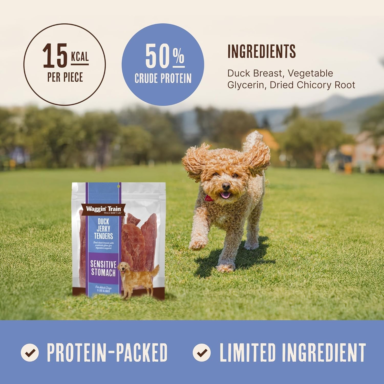 waggin-train-duck-jerky-dog-treats-for-dogs-with-sensitive-stomachs-made-with-100-real-duck-breasts-three-all-natural-ingredients-high-protein-dog-treat-easily-digestible-for-dogs-12-oz-pouch