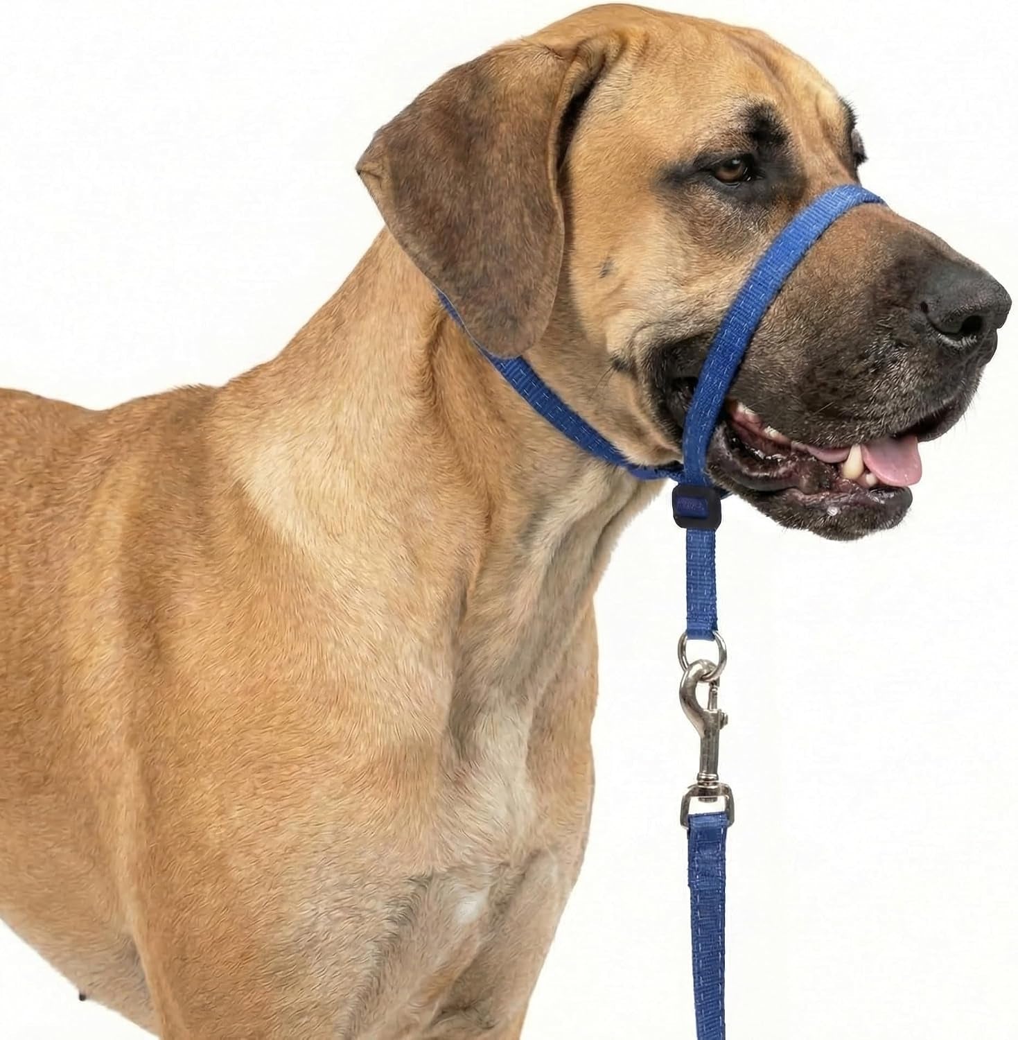headcollar-for-dogs-extra-soft-padded-reflective-no-pull-dog-collar-gentle-leader-for-dogs-with-durable-nylon-leash-padded-handle-navy-blue-large
