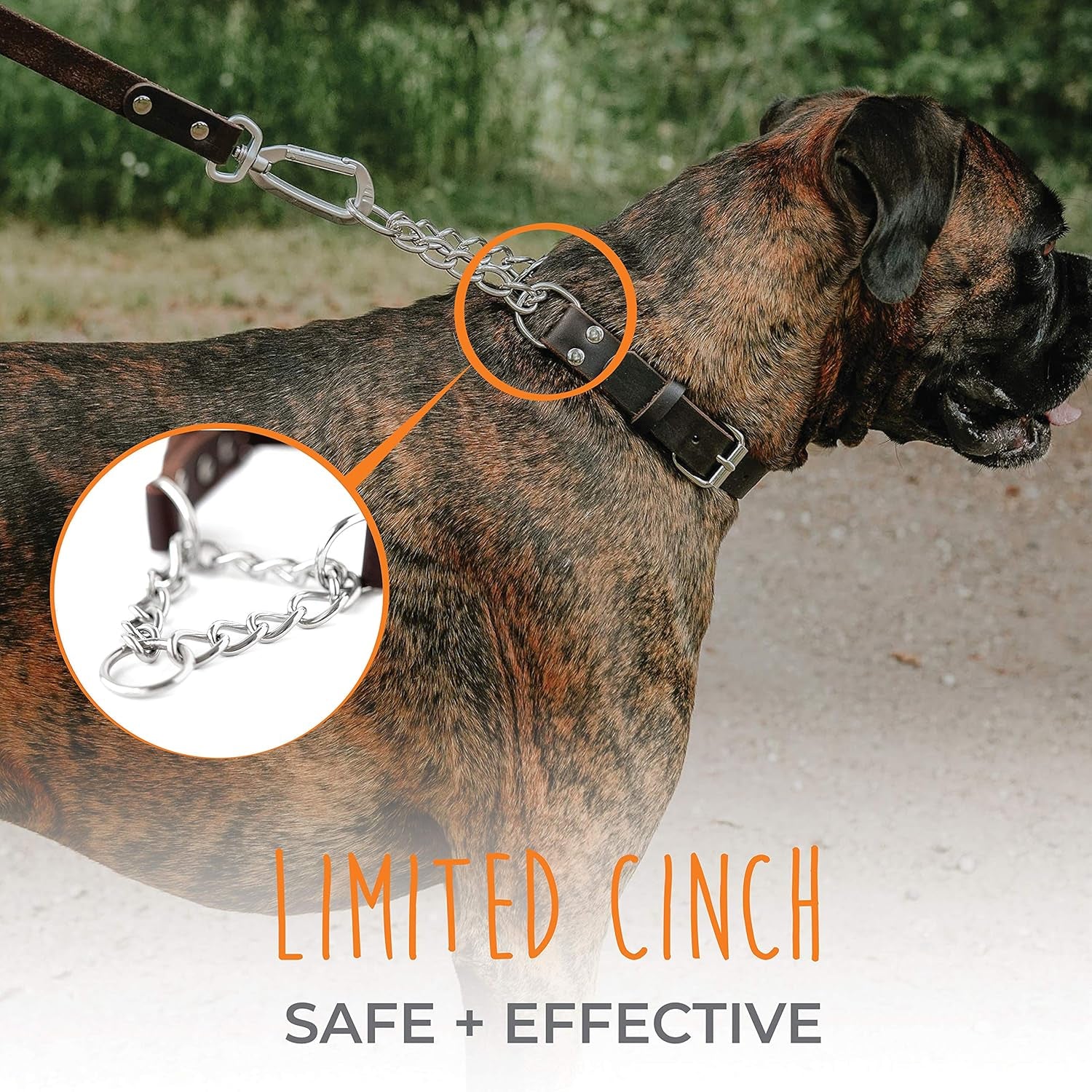 mighty-paw-martingale-dog-collar-no-pull-design-stainless-steel-chain-limited-chain-cinch-training-brown-leather-martingale-training-collar-medium-size