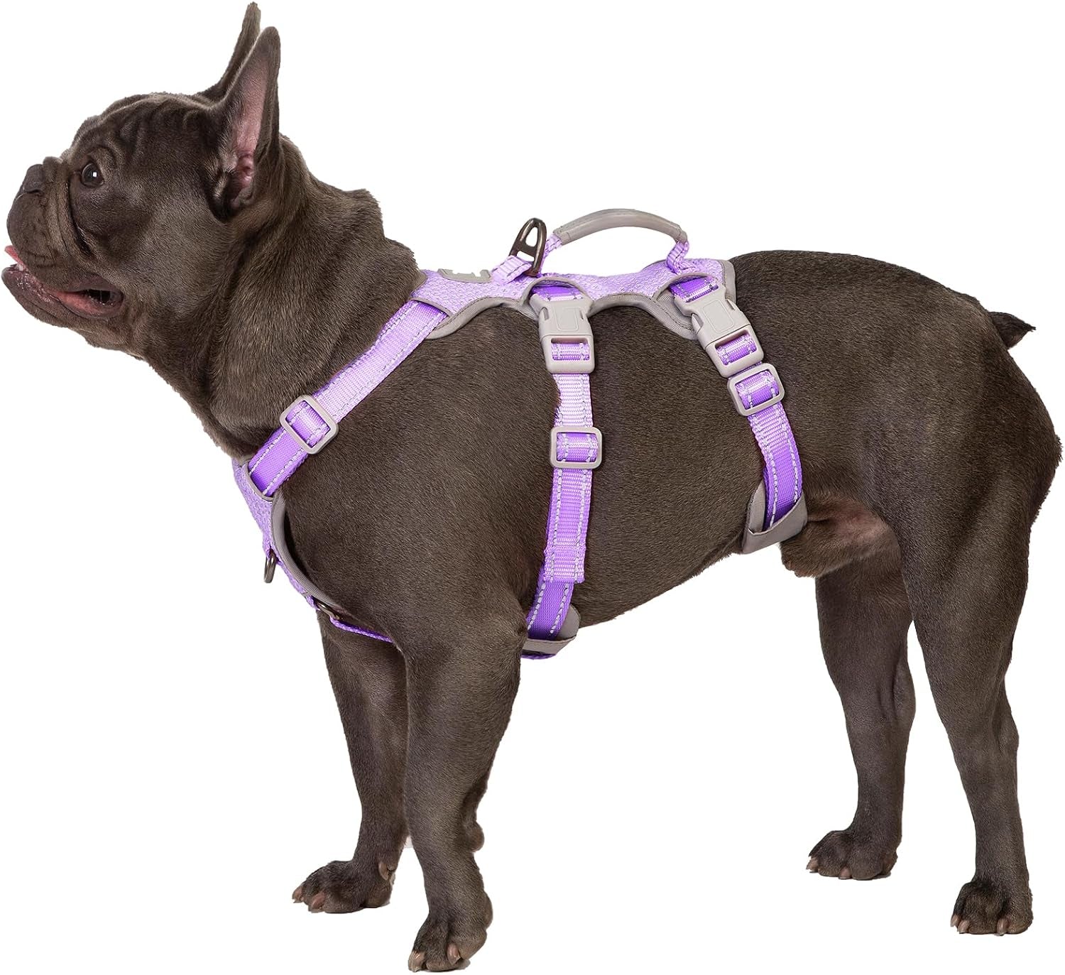 huntboo-escape-proof-harness-no-slip-dog-harness-escape-proof-fully-reflective-harness-with-handle-breathable-durable-adjustable-vest-for-medium-dogs-walking-and-training-gear-black-m