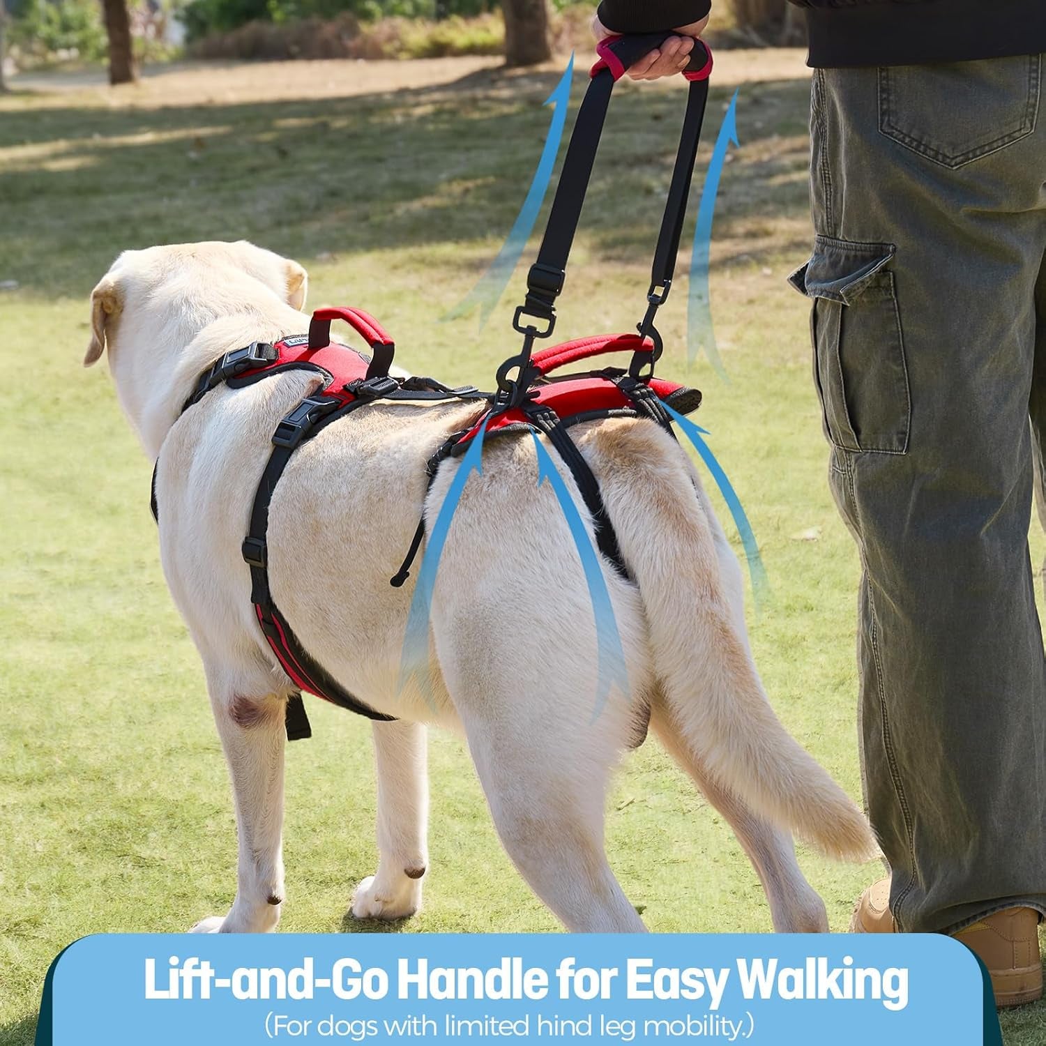dog-lifting-harness-for-medium-dogs-dual-handle-dog-support-harness-for-daily-walking-assistance-male-dog-friendly-breathable-easy-on-mobility-aid-red-m