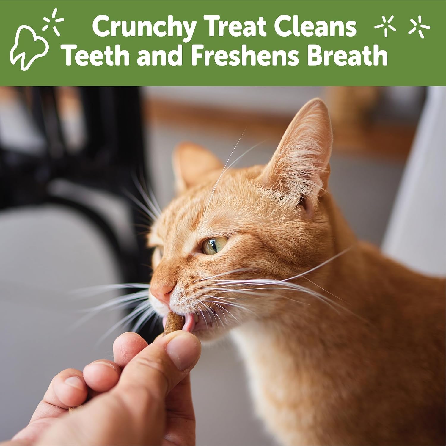 wellness-whimzees-cat-dental-treats-freshens-breath-chicken-and-salmon-flavor-4-5-oz-bag