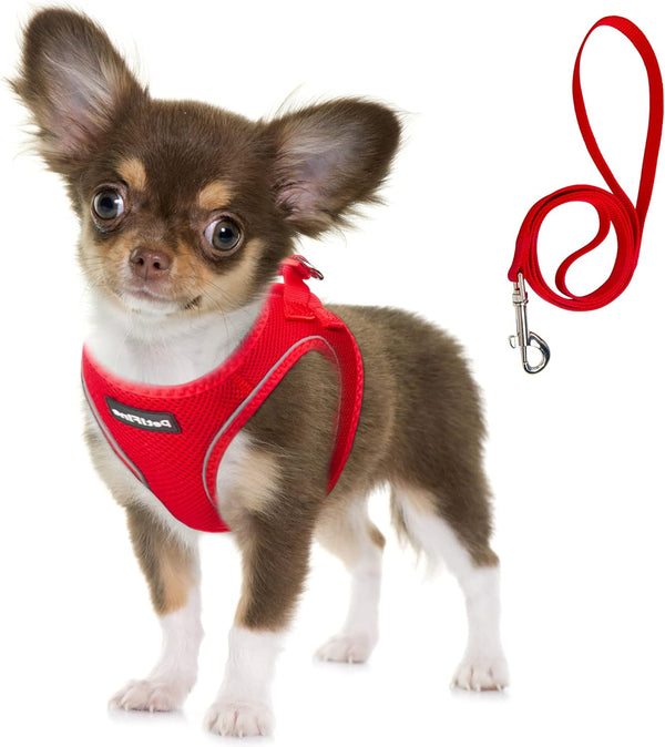 Fida Cat Harness and Leash Set for Walking Kitten and Puppy, Escape Proof Kitten Harness with Breathable Lightweight Soft Mesh, Adjustable Reflective Step-In Design. (XXXS, Pink)8