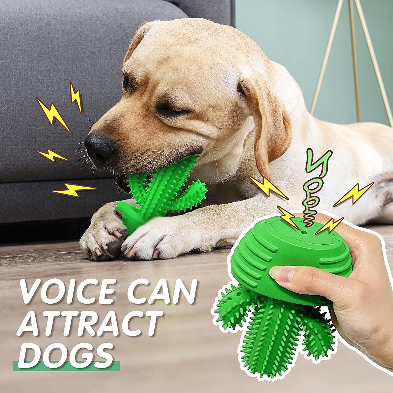 pamlulu-dog-chew-toys-dog-toothbrush-stick-teeth-cleaning-brush-dental-for-medium-large-dog-puppy-christmas-easter-birthday-gifts-outdoor-squeaky-toys-for-aggressive-chewers-interactive-tough-toys