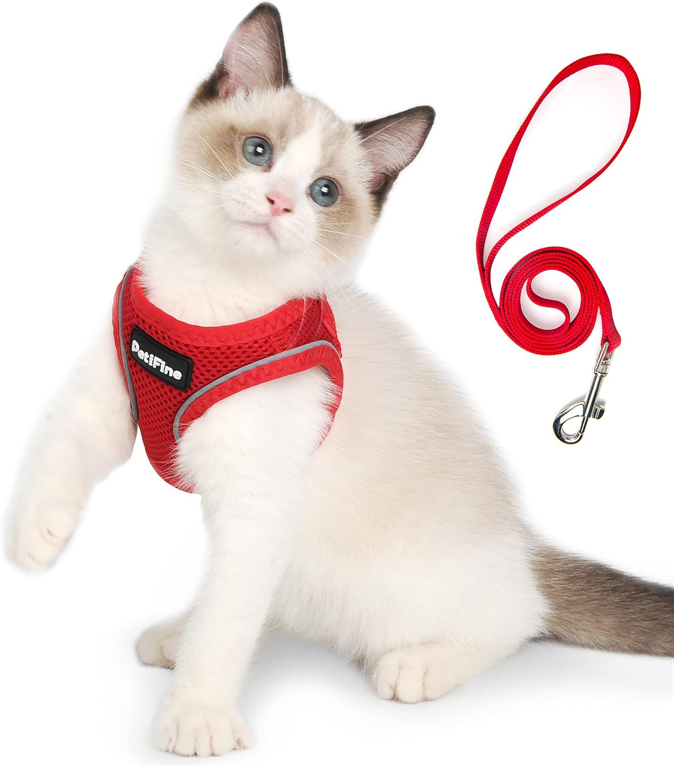 small-dog-harness-and-leash-set-breathable-step-in-puppy-cat-harness-xs-reflective-for-safe-easy-walking-soft-light-puppy-vest-escape-proof-no-pull-harness-for-dogs-all-weather-air-mesh-harness