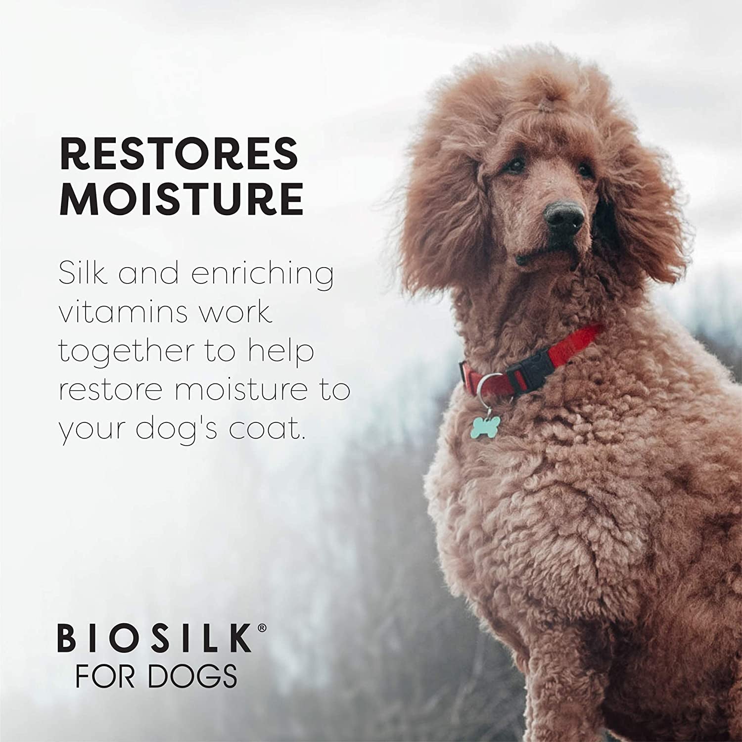 biosilk-silk-therapy-conditioning-detangling-spray-for-dogs-with-natural-coconut-oil-leave-in-detangler-and-conditioner-dematting-grooming-spray-sulfate-free-7-fl-oz-coconut-oil-formula-leave-in-detangler-sulfate-free-smooths-and-conditions-coat