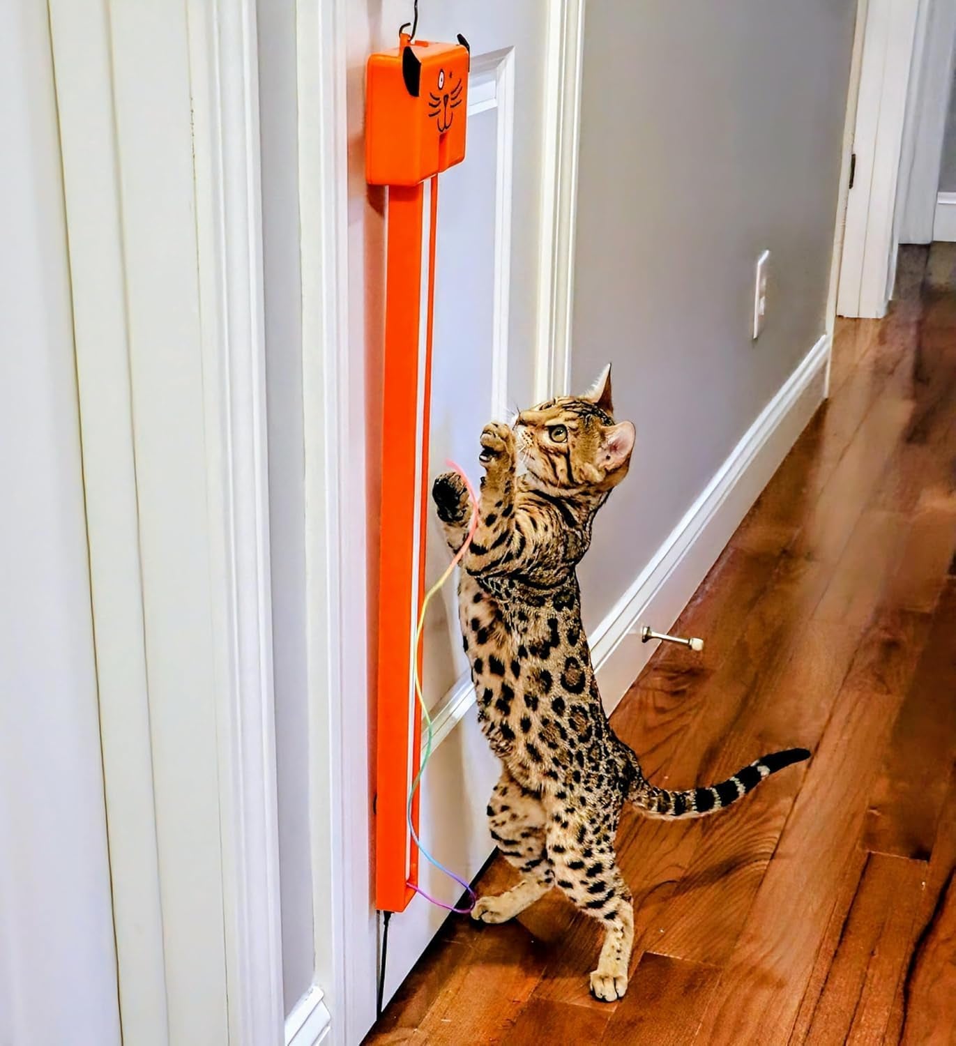 moody-pet-interactive-cat-toy-for-indoor-cats-fling-ama-string-automatic-moving-flying-string-toy-for-cats-battery-operated-door-hanging-exercise-toy-for-kittens-adult-cats