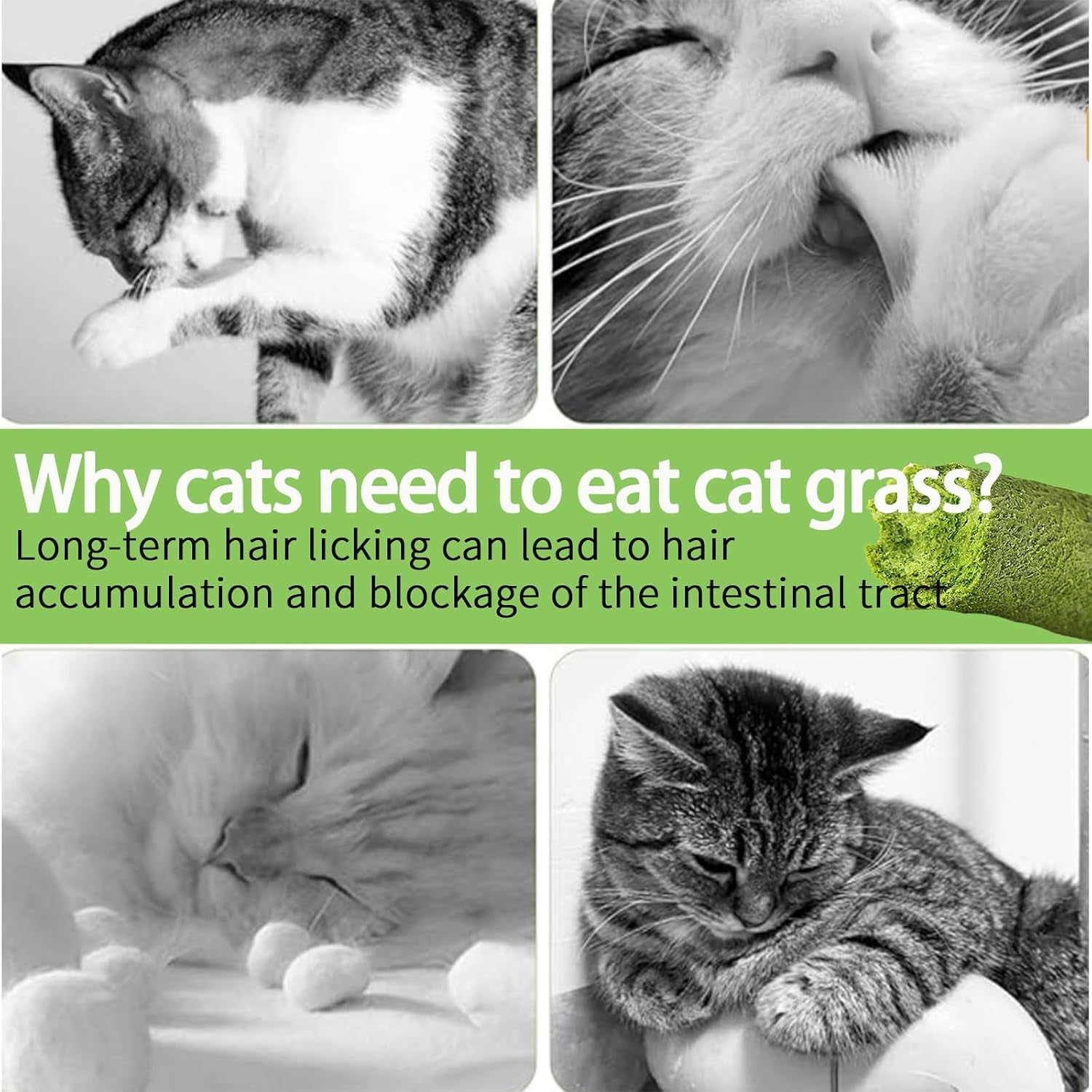 meowly-110g-cat-grass-sticks-for-cats-natural-chicken-flavored-cat-grass-sticks-for-teeth-cleaning-and-hairball-remedy