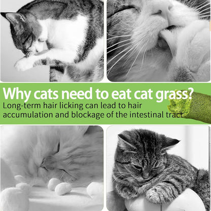 Meowly 110G Cat Grass ﻿Sticks for Cats, Natural Chicken Flavored Cat Grass ﻿Sticks for Teeth Cleaning and Hairball Remedy7