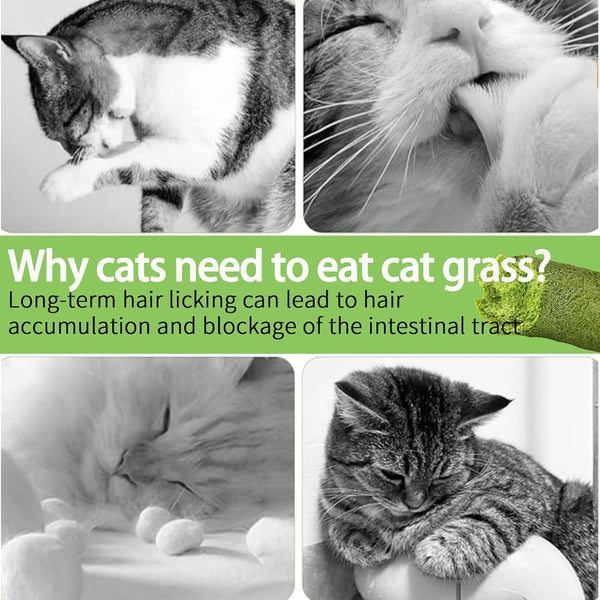 Meowly 110G Cat Grass ﻿Sticks for Cats, Natural Chicken Flavored Cat Grass ﻿Sticks for Teeth Cleaning and Hairball Remedy7