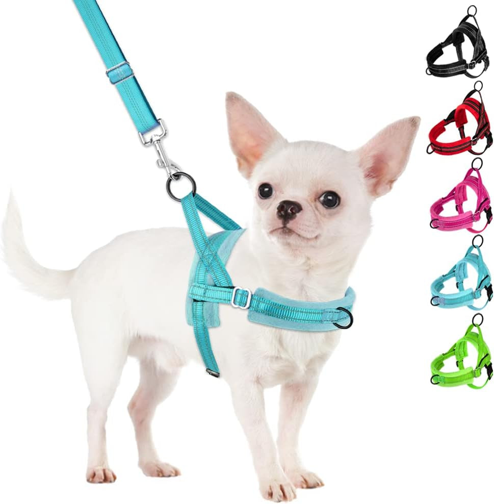 slowton-no-pull-small-dog-harness-and-leash-set-puppy-soft-vest-harness-neck-chest-adjustable-reflective-lightweight-harness-anti-twist-pet-lead-combo-for-small-medium-dogs-fuchsia-xxs