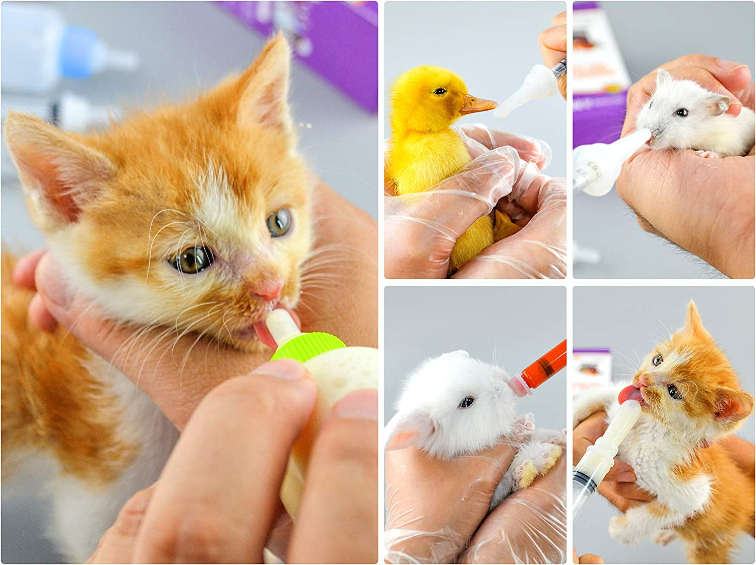 puppy-kitten-bottle-for-nursing-newborn-baby-dog-cat-rabbit-feeding-feeder