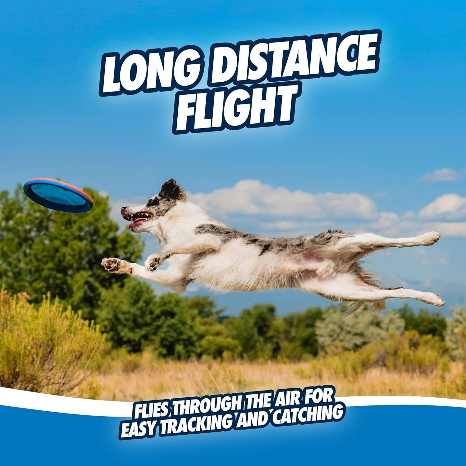 chuckit-paraflight-flying-disc-dog-toy-water-floating-flyer-durable-nylon-construction-with-soft-rubber-edges-for-medium-and-large-dogs-size-large-9-75-l-x-9-75-w-pack-of-1-durable-nylon-build-with-soft-rubber-edges-made-for-medium-and-larger-sized-breeds-lightweight-and-easy-to-throw-pack-of-1