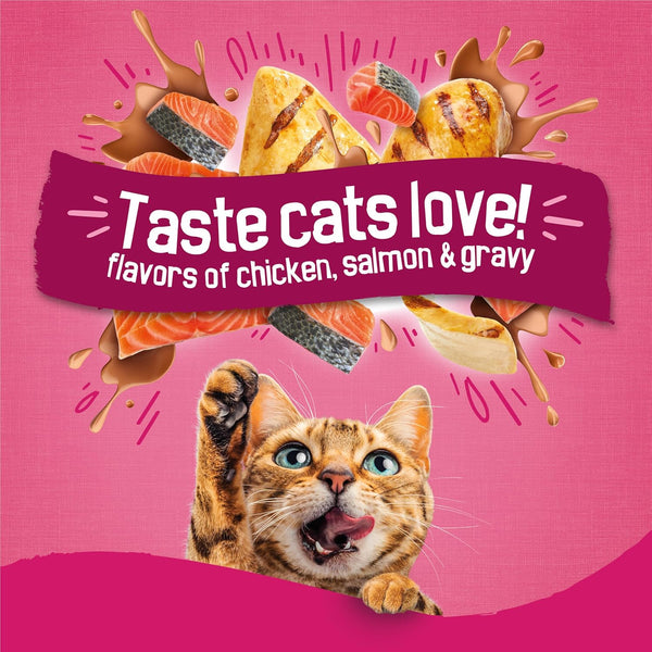 Purina Friskies Gravy Swirlers with Flavors of Chicken, Salmon and Gravy Dry Cat Food - 3.15 Lb. Bag3