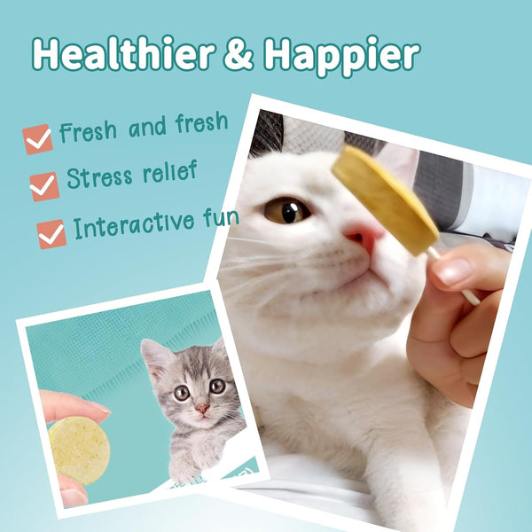 Lollipop Cat Treats, Freeze-Dried Lickable Snacks for Indoor Cats, Natural Soft Puree Wet Snacks Pops, Premium Cat Treats Lollipop Ideal for All Breeds and Ages Cats (Mixed (25 Pcs))7