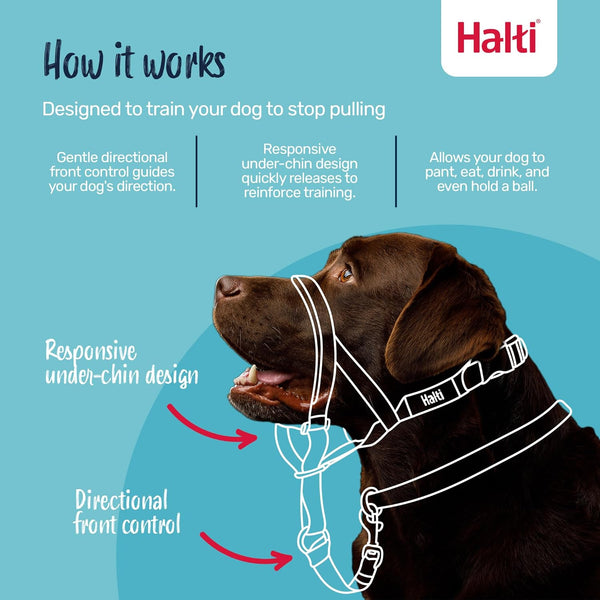 Halti Headcollar (Size 4, Black) & Halti Training Leash (Size Large, Black) | Bundle | Stop Your Dog Pulling on the Leash | Adjustable, Lightweight with Padded Nose Band | Suitable for Large Dogs2
