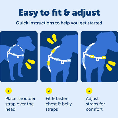 Petsafe Easy Walk Deluxe Dog Harness, No Pull Dog Harness – Perfect for Leash & Harness Training – Stops Pets from Pulling and Choking on Walks – Medium, Ocean8