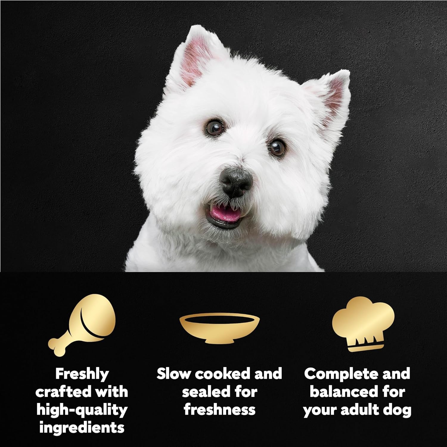cesar-mini-pouch-wet-dog-food-filet-variety-pack-1-76-oz-40-count-3-flavors-rotisserie-chicken-filet-mignon-wood-grilled-chicken-real-chicken-or-beef-easy-peel-and-serve-protein-packed