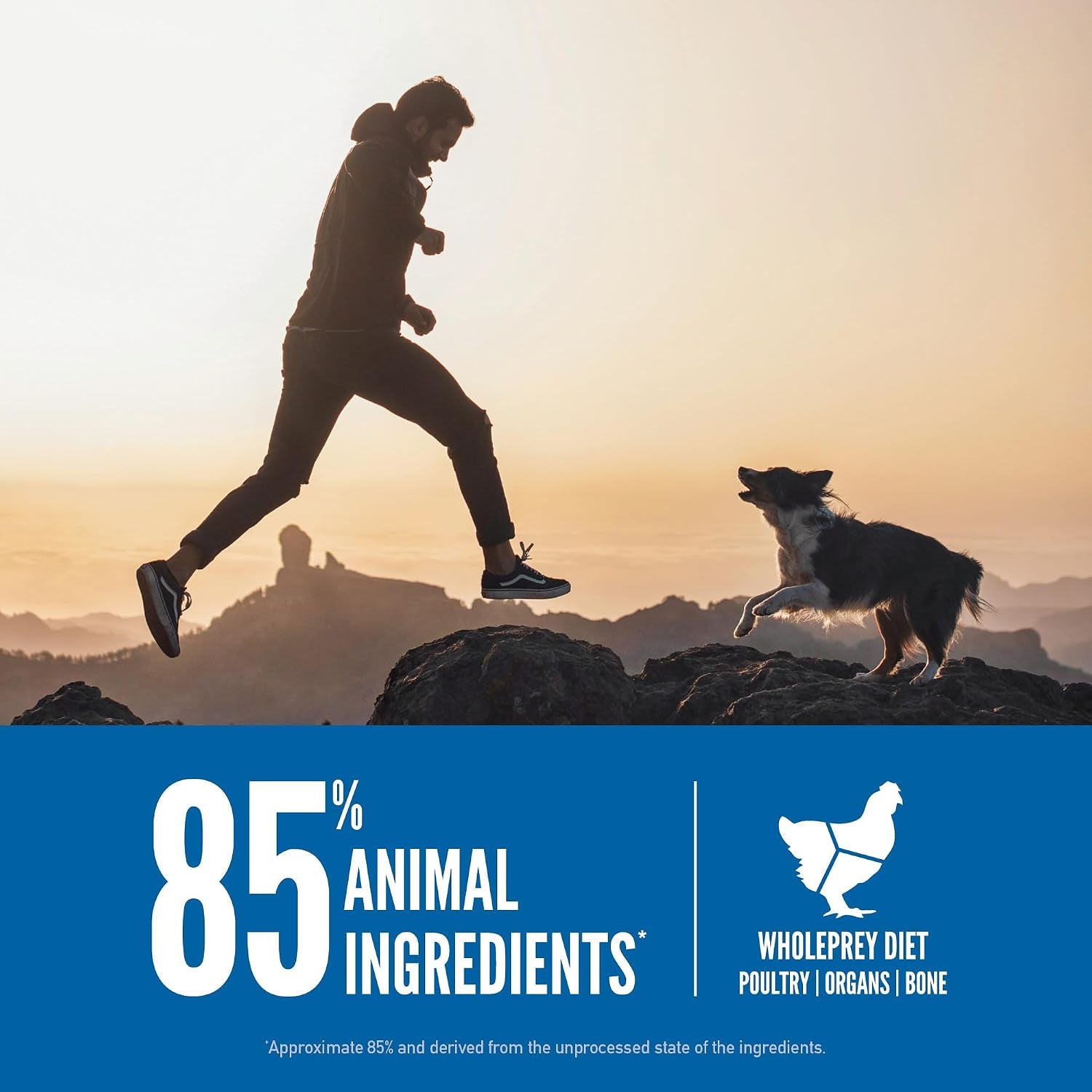 orijen-grain-free-wholeprey-dry-dog-food-original-recipe-23-5lb-bag-wholeprey-ingredients-grain-free-made-in-the-usa-skin-coat-global-quality-ingredients