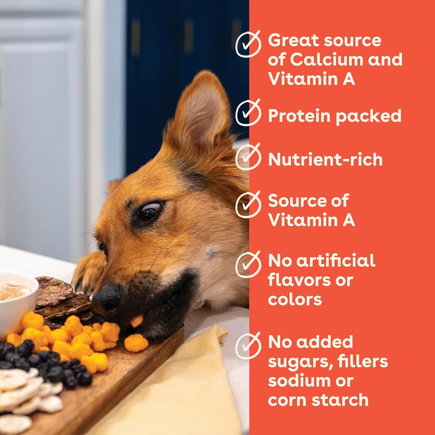 pupford-cheese-crunchies-all-natural-healthy-freeze-dried-single-ingredient-treat-for-dogs-puppies-cheddar-7-oz