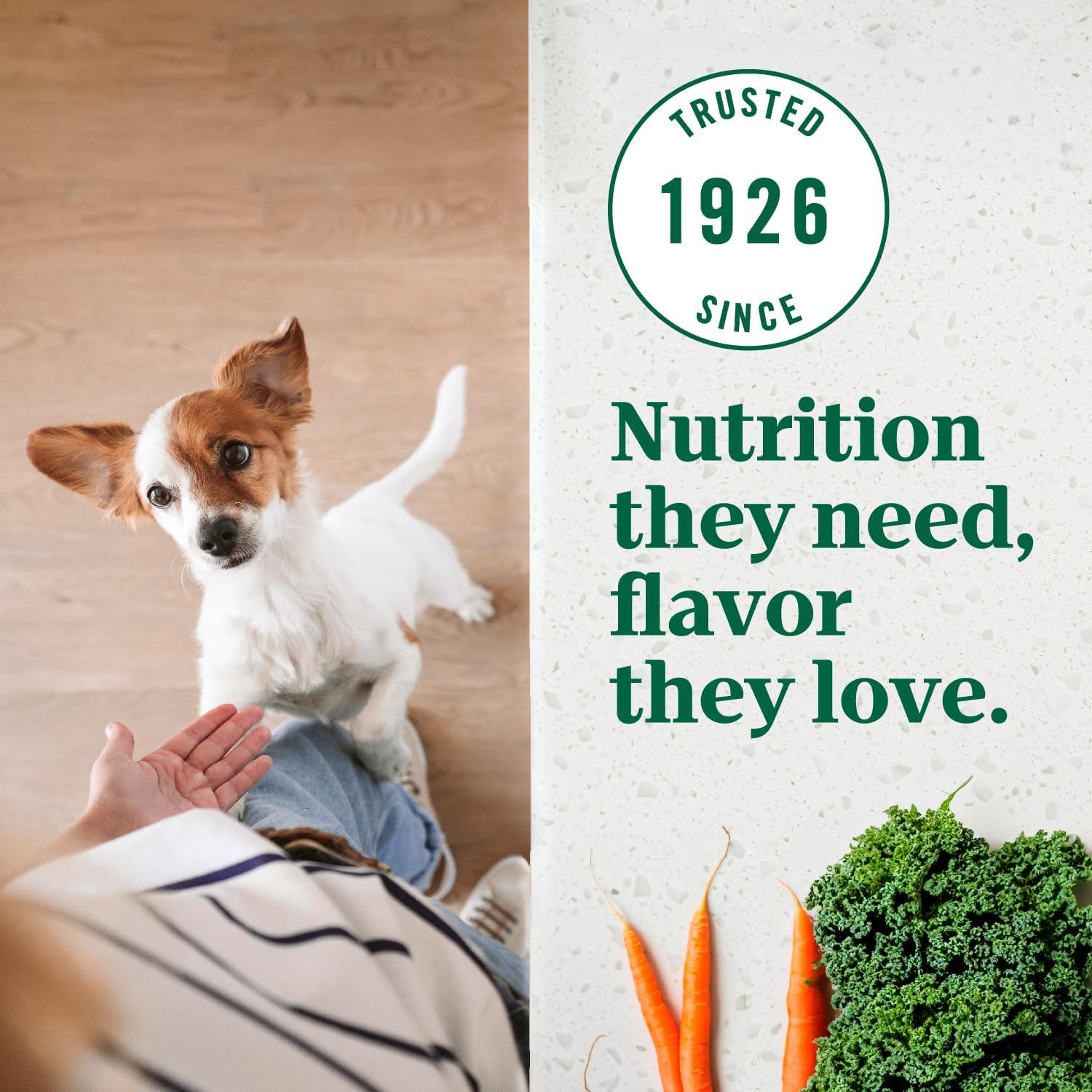 nutro-ultra-toy-breed-adult-dry-dog-food-chicken-lamb-salmon-3-5-lb-protein-trio-real-chicken-1-ingredient-14-superfoods-blend-non-gmo-no-corn-wheat-or-soy-radiant-coat-support