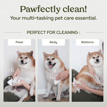 Pawfume Dog Wipes 100 Count, Pet Wipes – Hypoallergenic & Gentle Dog Wipes for Eyes, Face, Butt, and Paws – Cleaning & Deodorizing, Grooming Tear Stain Wipes for Puppy, Adult Dogs & Cats3