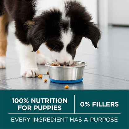 Purina ONE plus Puppy Dry Dog Food for Large Dogs High Protein Growth Support, Real Chicken - 31.1 Lb Bag9