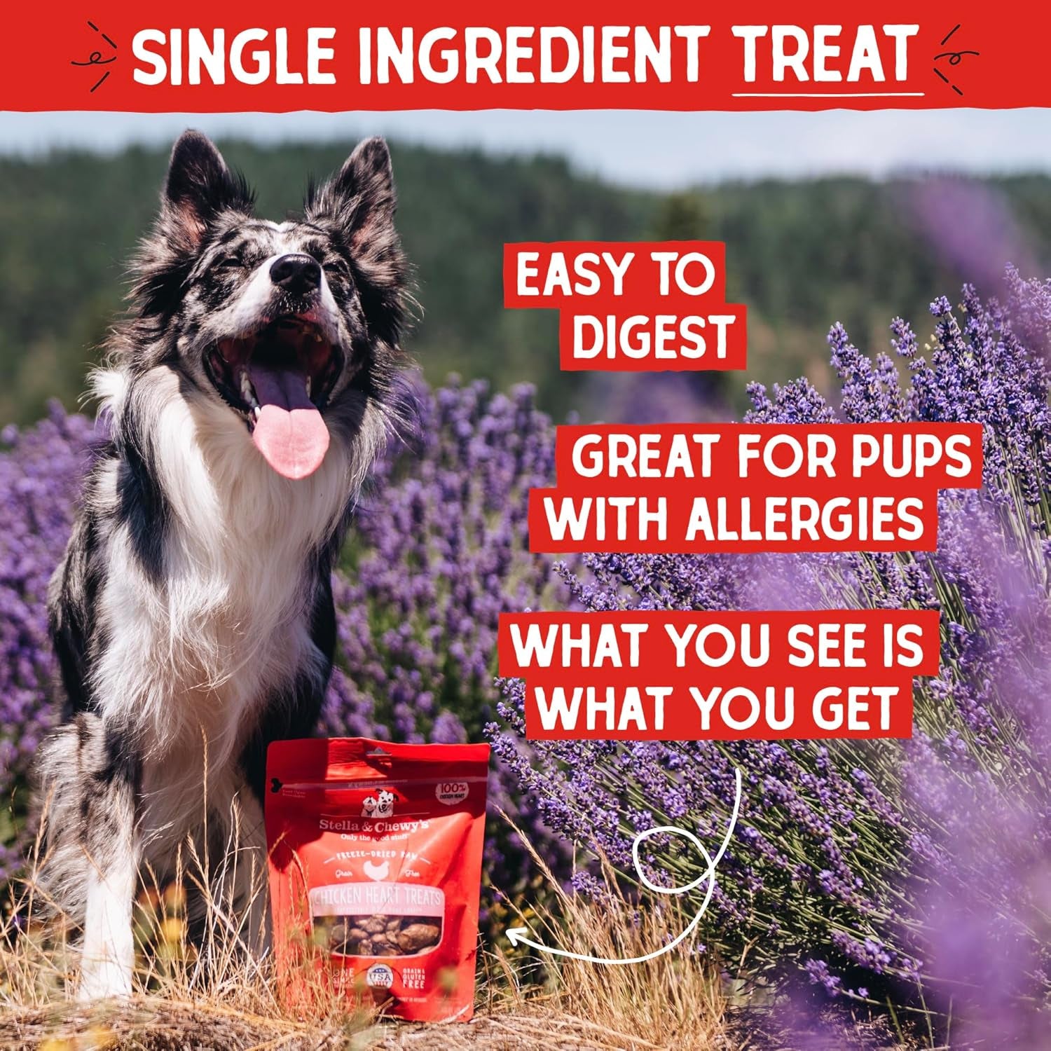 stella-chewys-freeze-dried-raw-chicken-heart-dog-treats-single-ingredient-no-additives-premium-training-treats-perfect-for-picky-eaters-11oz-bag