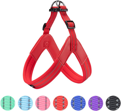 EXCELLENT ELITE SPANKER No Pull Dog Harness Step-In Adjustable Reflective Vest Soft Padded Easy Pet Chest Strap with Leash Clips for Small Medium Large Dogs Walking Training(Pink-S)11