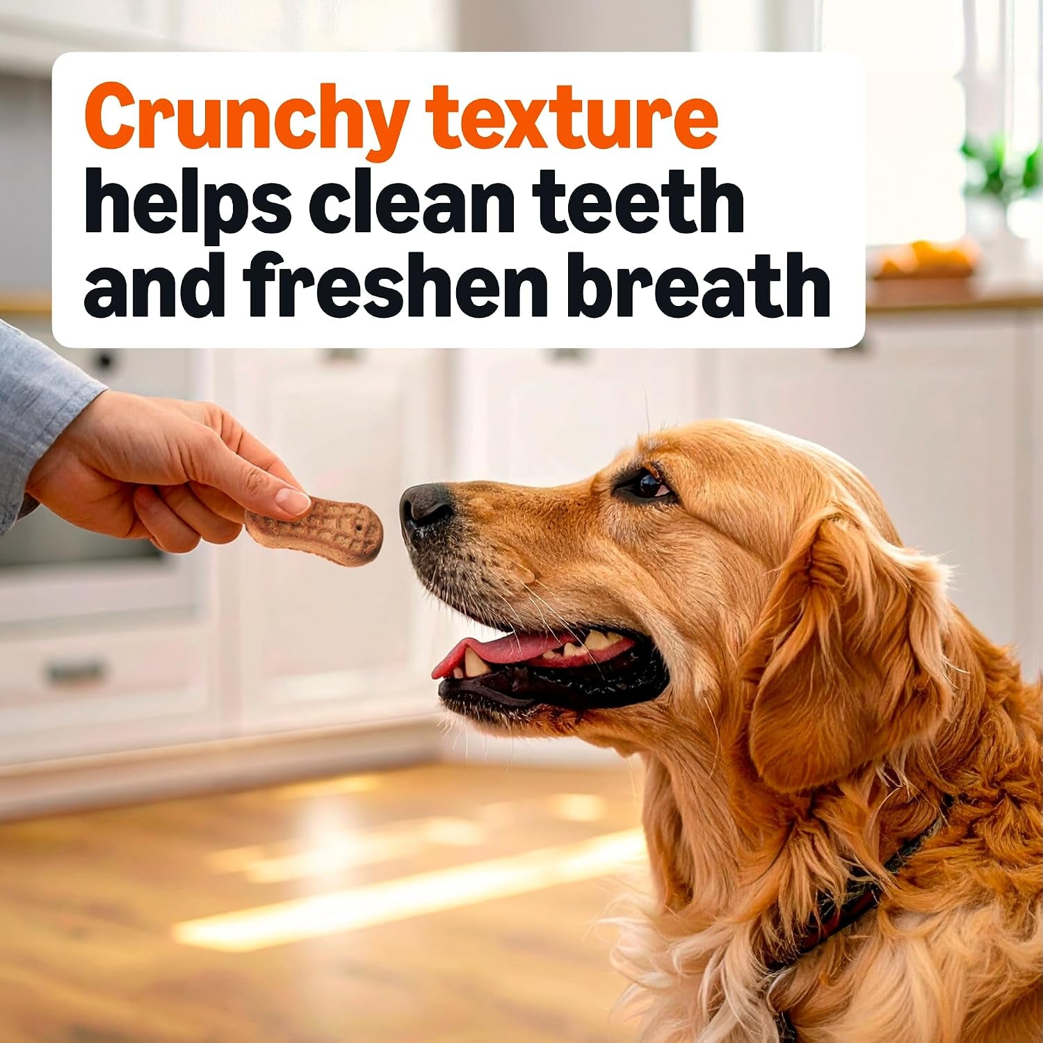 amazon-basics-crunchy-dog-biscuits-peanut-butter-flavor-dog-treats-5-lb-box