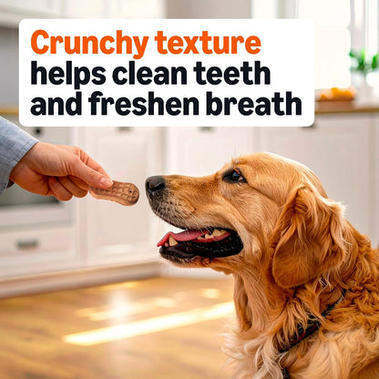 Amazon Basics Crunchy Dog Biscuits Peanut Butter Flavor Dog Treats 5 Lb. Box4