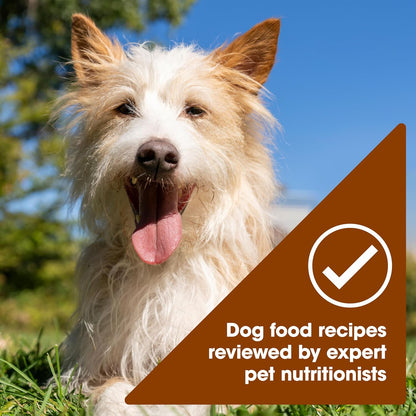 Nature’S Recipe Grain Free Chicken Recipe, Chicken & Venison Recipe and Chicken & Duck Recipe in Savory Broth Variety Pack Wet Dog Food, 12-2.75 Oz. Cups, 2 Count5