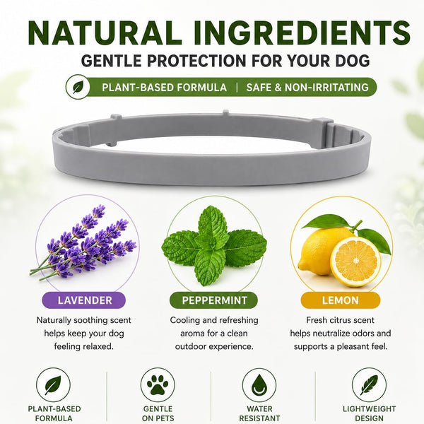 Dog Collar, Adjustable Dog Collar Holder Small Medium Large Dogs | Waterproof Dog Collar Silicone Dog Airtag Holder with 2Pcs Refills3