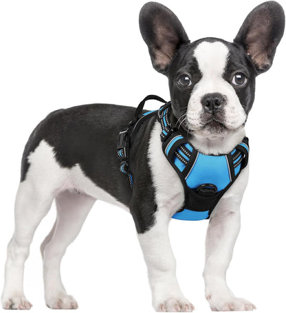 Rabbitgoo Dog Harness, No Pull for Large Dogs with 2 Leash Clips, Pet Vest | No Choke with Handle, Adjustable Soft Padded, Reflective, Easy Control for Walking, Black, Large14