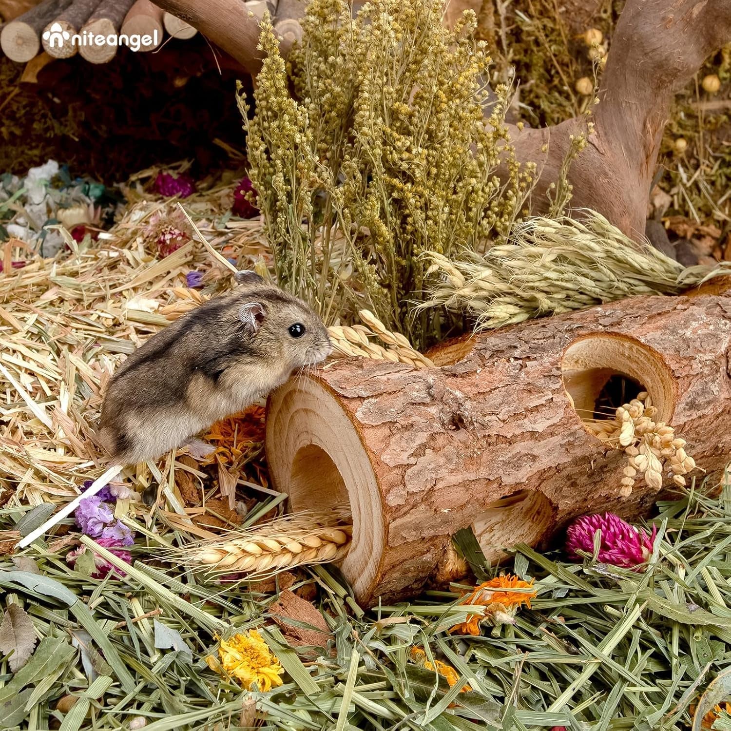 niteangel-natural-wooden-hamster-mouse-tunnel-tube-toy-forest-hollow-tree-trunk