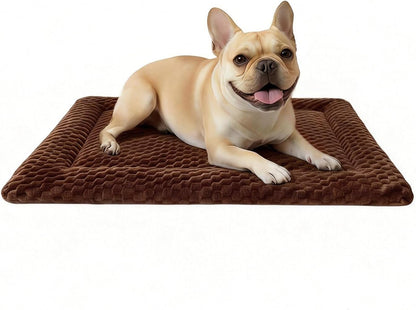 Dog Bed Mat, Dual-Sided Dog Crate Bed Mat - Ultra Soft & Machine Washable Kennel Pad for Small Dogs, All-Season Comfort Pet Bed for Crates, Travel, and Home, Star Gray, 24 X 16 Inch15