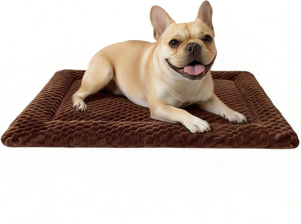 Dog Bed Mat, Dual-Sided Dog Crate Bed Mat - Ultra Soft & Machine Washable Kennel Pad for Small Dogs, All-Season Comfort Pet Bed for Crates, Travel, and Home, Star Gray, 24 X 16 Inch15