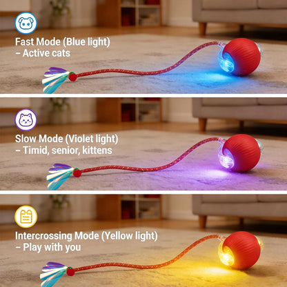 Interactive Cat Toy Ball, Smart Moving Pet Toy for Cats & Dogs | Cat Toys for Indoor Cats | Speedy Tail 2.0 Cat Toy|Cat Teaser Toy|Interactive Motion Activated Cat Toys| Stimulating Cat Toys2