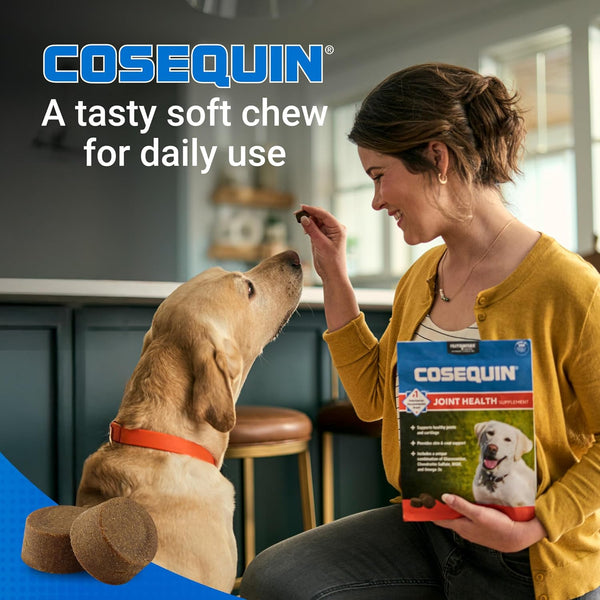 Nutramax Cosequin Dog Joint Supplement, Skin & Coat, Soft Chews, 60Ct | Glucosamine & Chondroitin for Dogs with MSM, Omega-3S, Supports Joints, Skin and Coat Health, All Ages & Sizes4