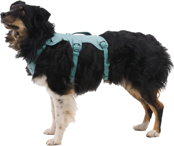 Ruffwear, Web Master, Multi-Use Support Dog Harness, Hiking and Trail Running, Service and Working, Everyday Wear, Basalt Gray, X-Small4