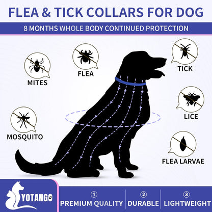 YOTANGO Flea Collar for Dogs, Dog Flea and Tick Collar, 4 Pack, 32 Months | Waterproof, Adjustable, and Lightweight for Dogs and Puppies. Four Collars Offer 32 Months and Start within 24 Hours.2